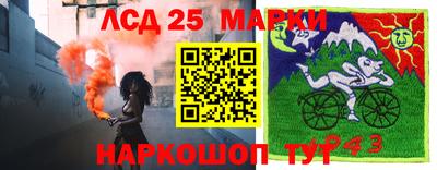 сатива Будённовск