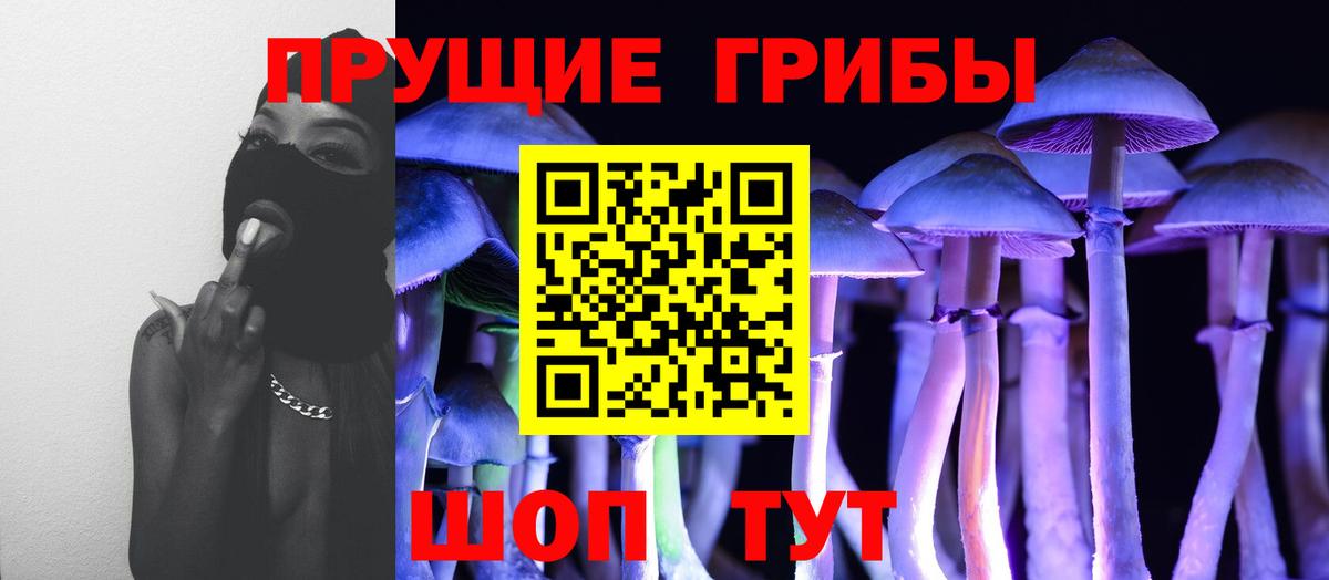Будённовск  Галлюциногенные грибы ЛСД  Вход с VPN  Галлюциногенные грибы мухоморы 